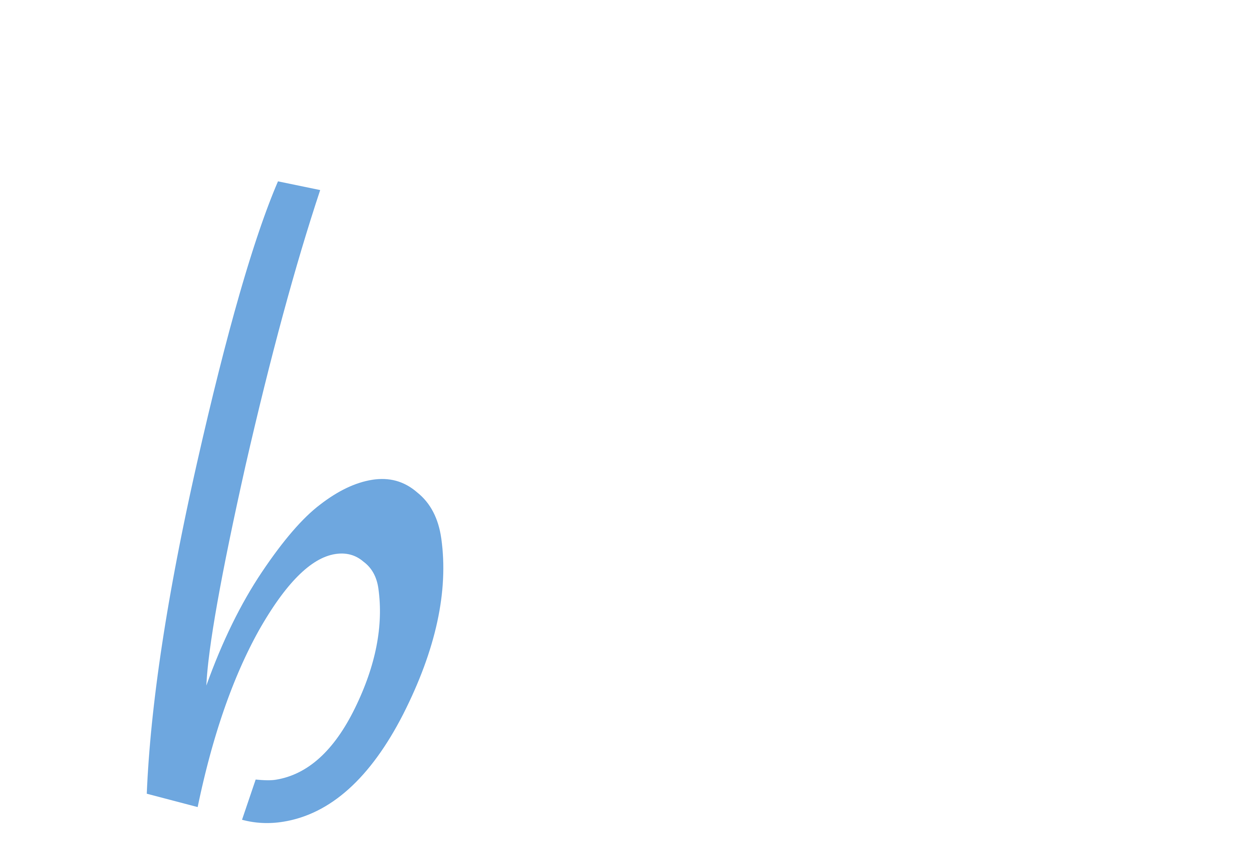 Brillo Plus